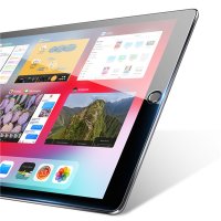 Dux Ducis - Panzerglas iPad 7/8/9 10.2